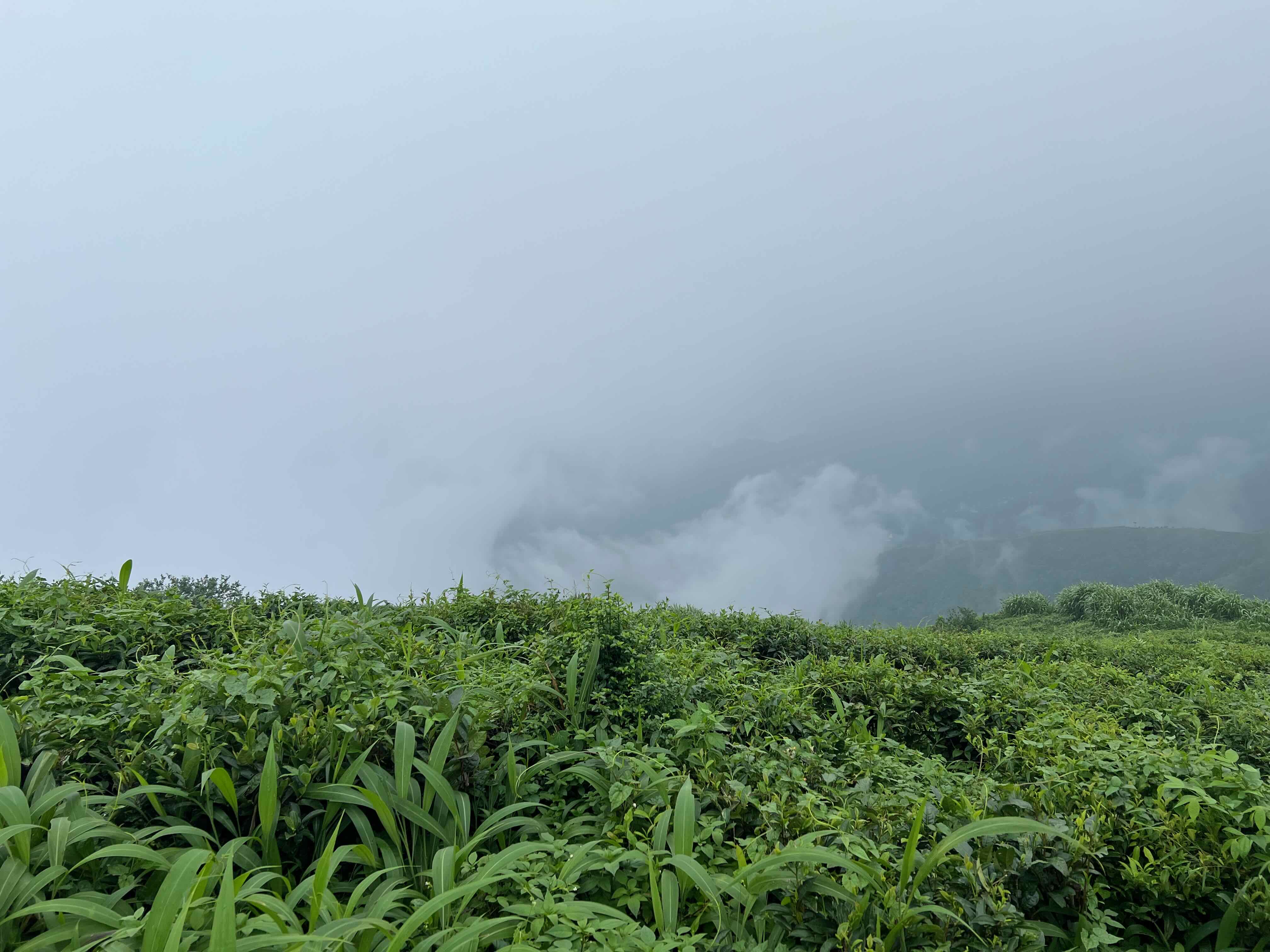darjeeling